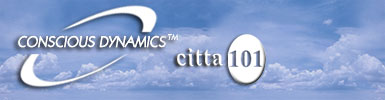 Citta 101